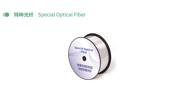Special Optical Fiber
